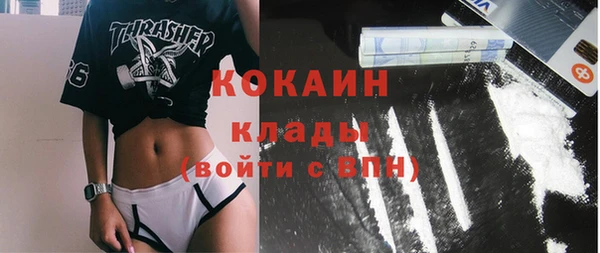 прущие грибы Алексин