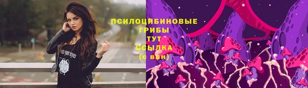 прущие грибы Алексин